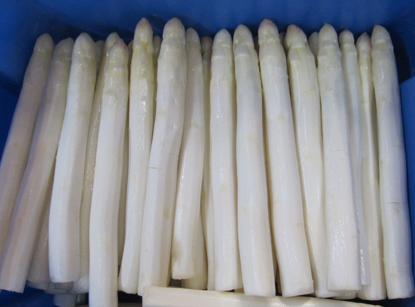 Spargel kaufen | Familie Wolf | Spargel - Erdbeeren - Äpfel